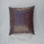 Poroto Colorado x 2.5kg - Imagen 2