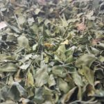 Moringa Hojas x 500gr